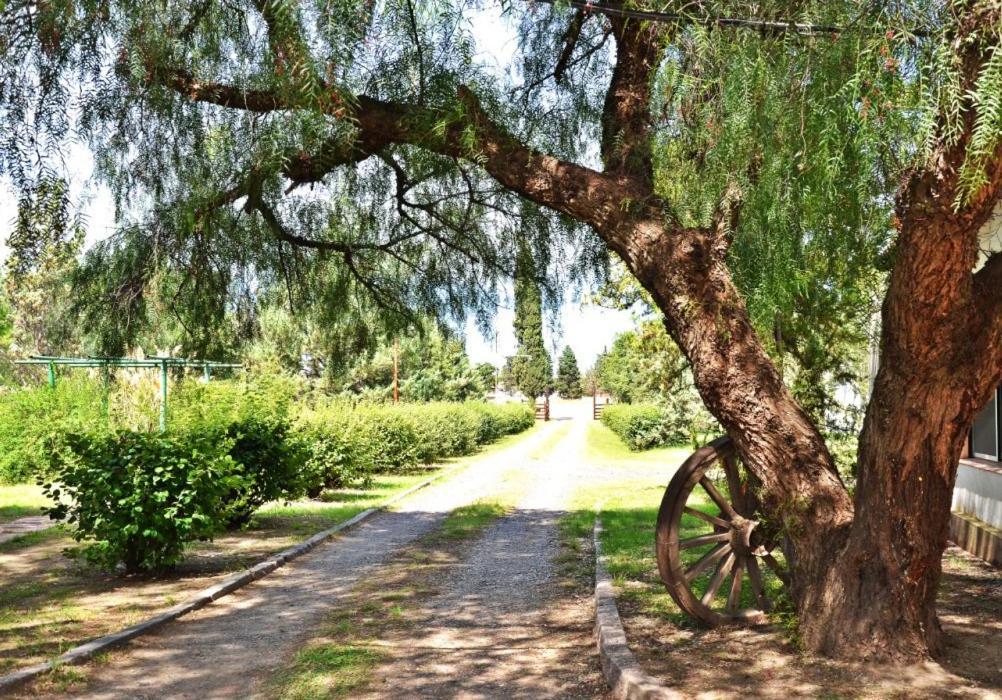 El Remanso Otel Médanos Dış mekan fotoğraf